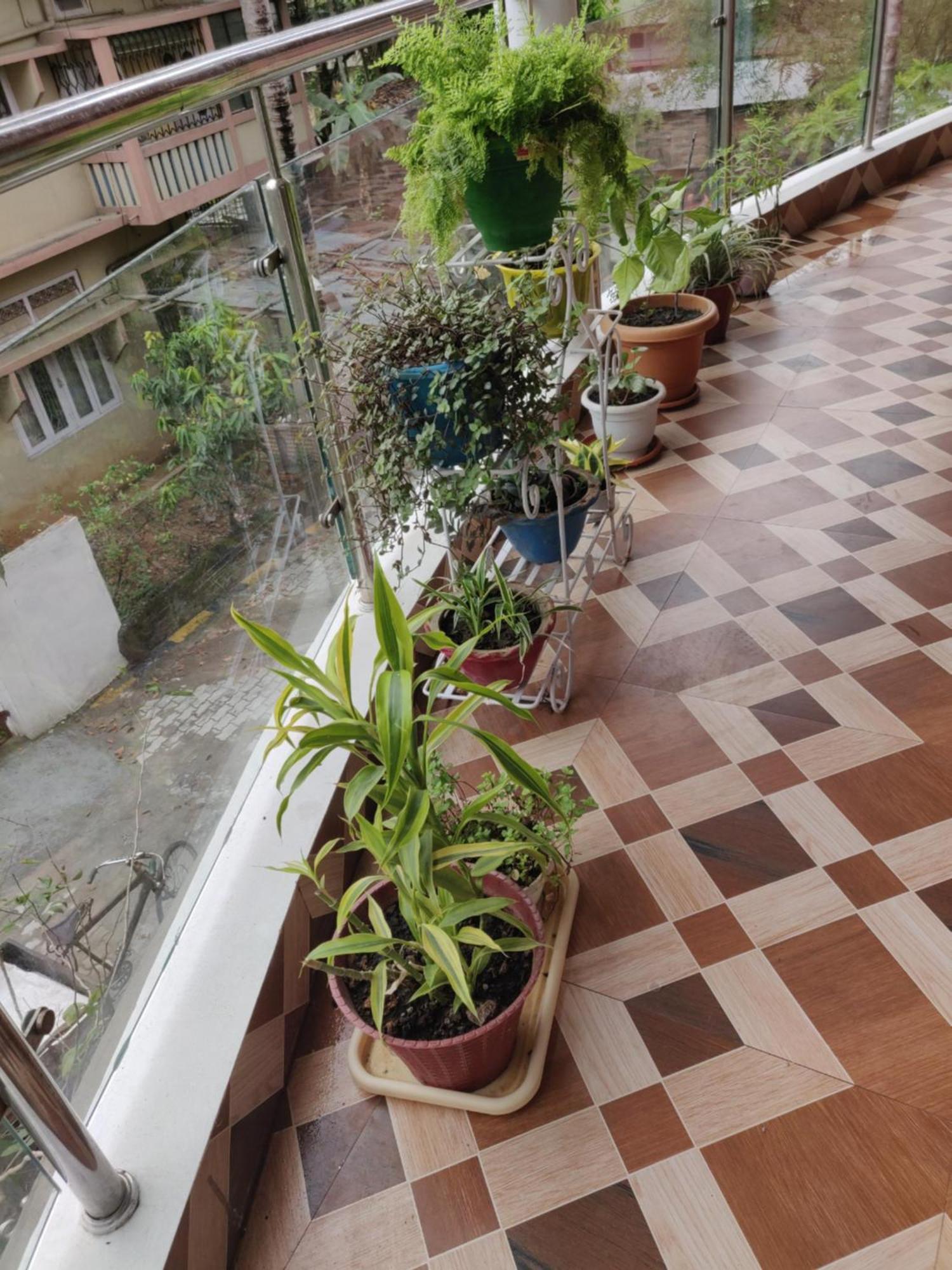 Bandana'S Bed & Breakfast Гувахати Экстерьер фото